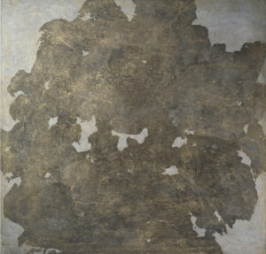 Röyhelöivä laakajäkälä aurinkoisella kivellä