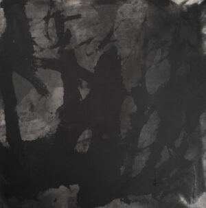 Naavaa kuusimetsän hämärässä