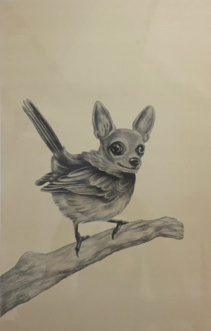 Koiraslintu