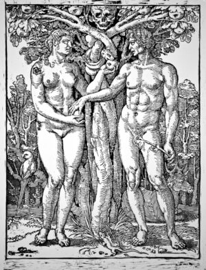 Adam & Eve