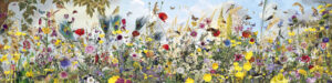 Summer Meadow